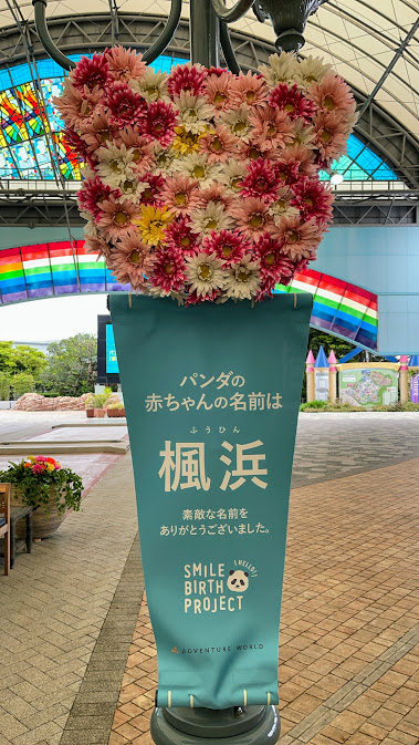 f:id:saotrip:20210516214837j:plain