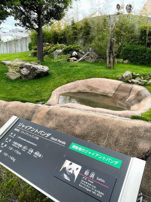 f:id:saotrip:20210516214843j:plain