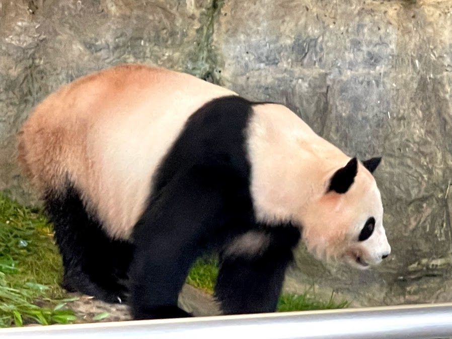 f:id:saotrip:20210516214852j:plain