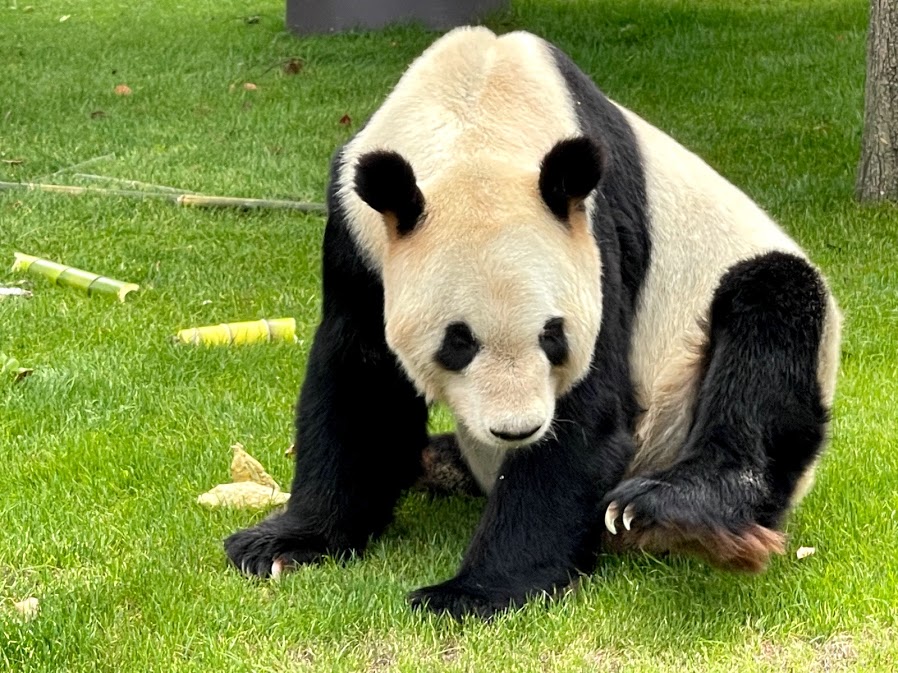 f:id:saotrip:20210516214855j:plain