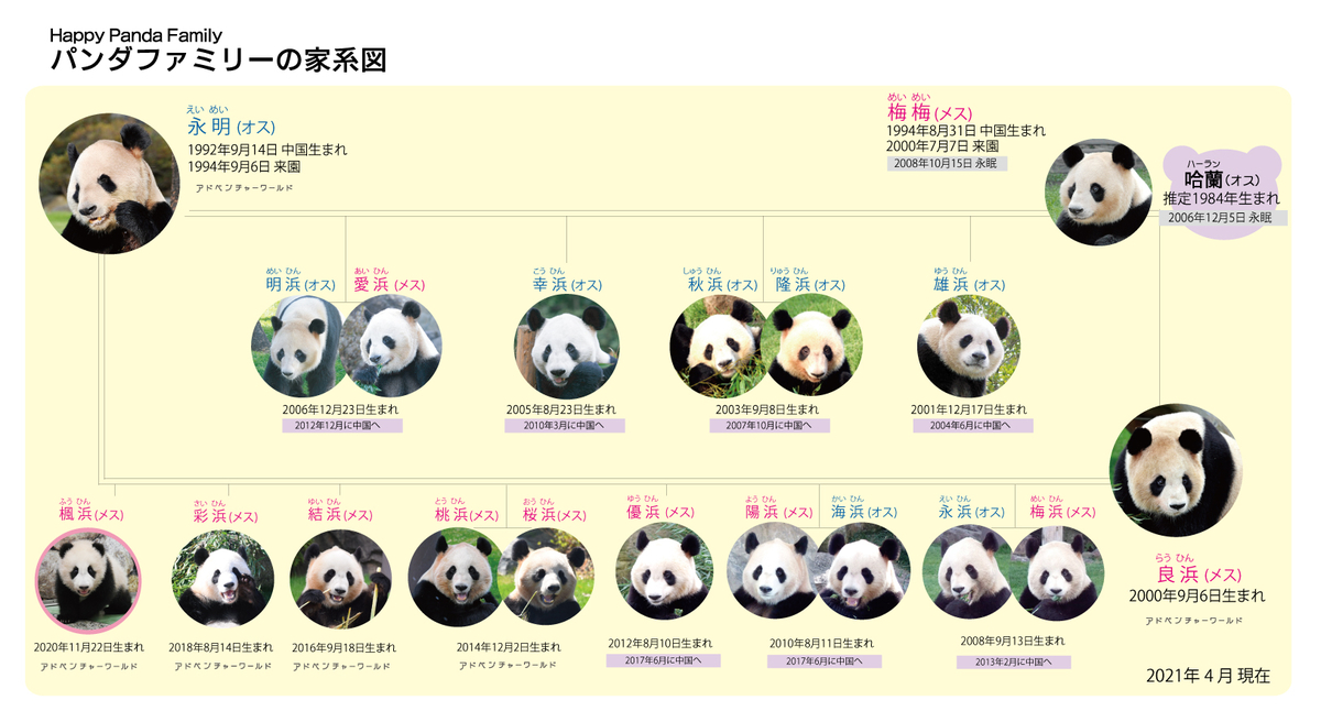 f:id:saotrip:20210516215344j:plain