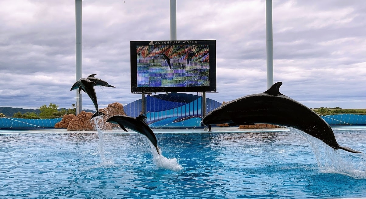 f:id:saotrip:20210516221439j:plain