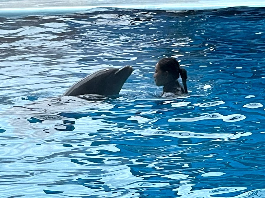 f:id:saotrip:20210516221447j:plain