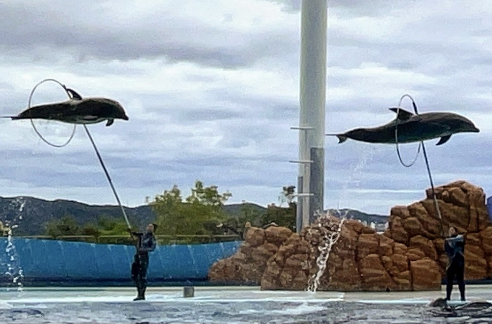 f:id:saotrip:20210516221450j:plain