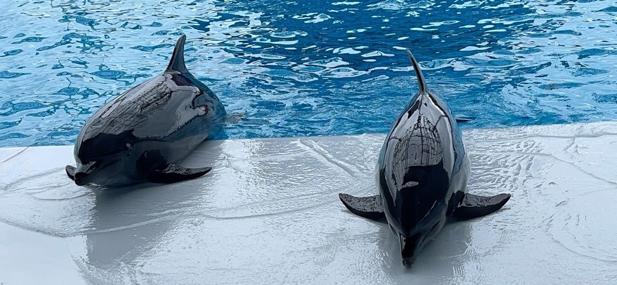 f:id:saotrip:20210516221455j:plain