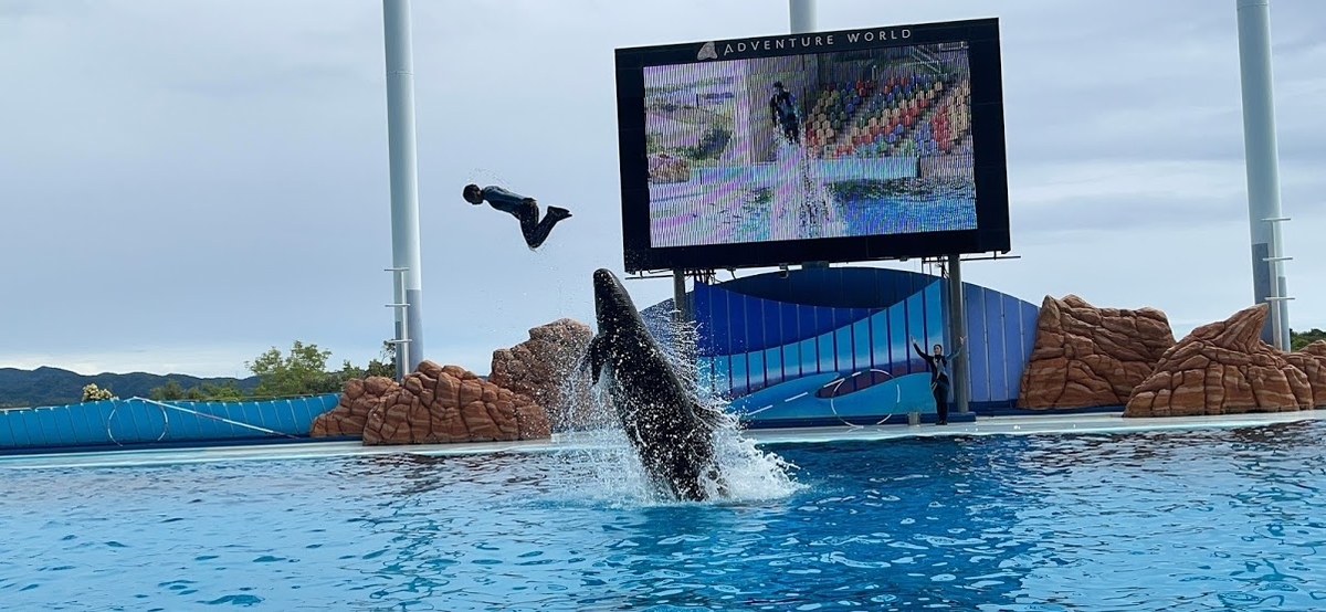 f:id:saotrip:20210516221458j:plain