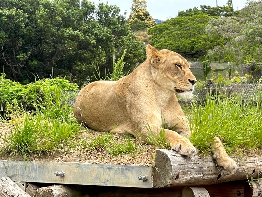 f:id:saotrip:20210516222551j:plain