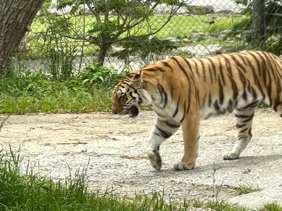 f:id:saotrip:20210516222602j:plain