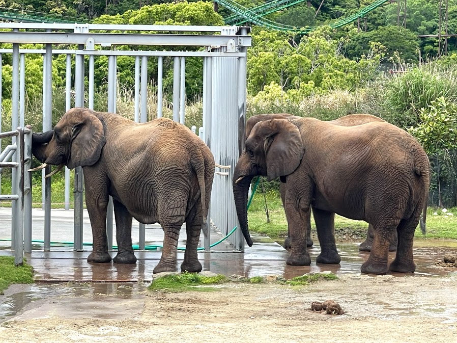 f:id:saotrip:20210516222608j:plain