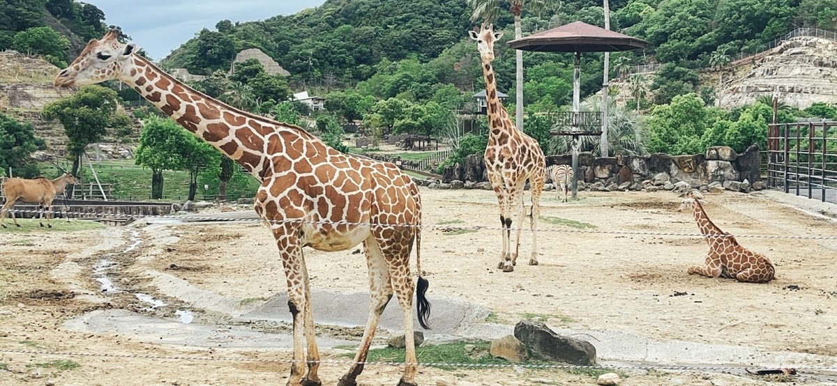 f:id:saotrip:20210516222618j:plain