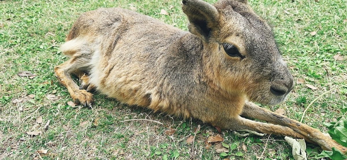 f:id:saotrip:20210516222643j:plain