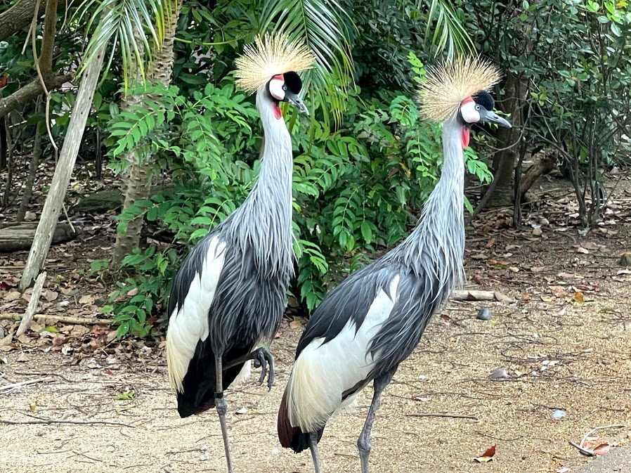 f:id:saotrip:20210516222646j:plain