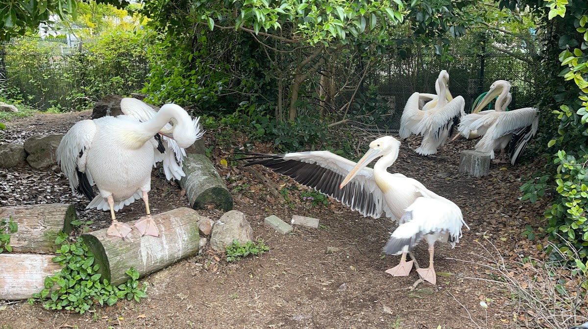 f:id:saotrip:20210516222656j:plain