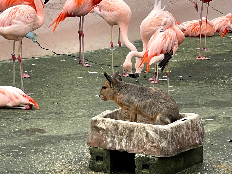 f:id:saotrip:20210516222703j:plain