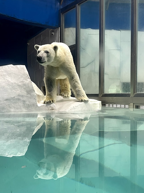 f:id:saotrip:20210516230512j:plain