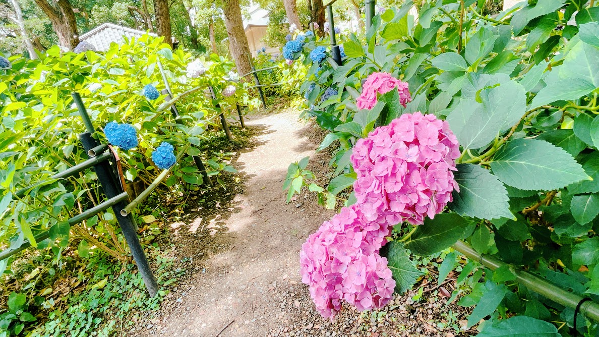 f:id:saotrip:20210615205517j:plain
