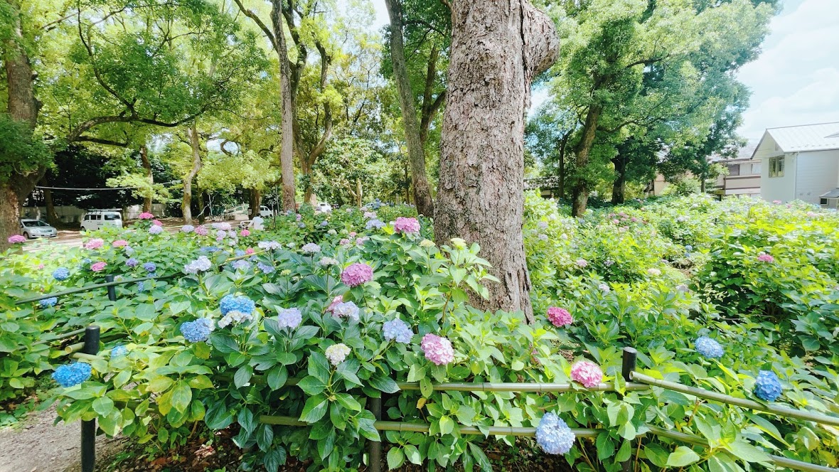 f:id:saotrip:20210615205520j:plain