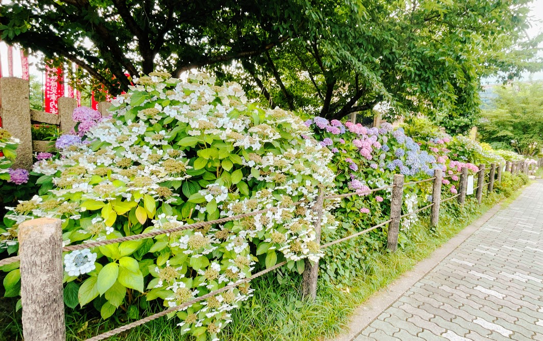 f:id:saotrip:20210617213036j:plain