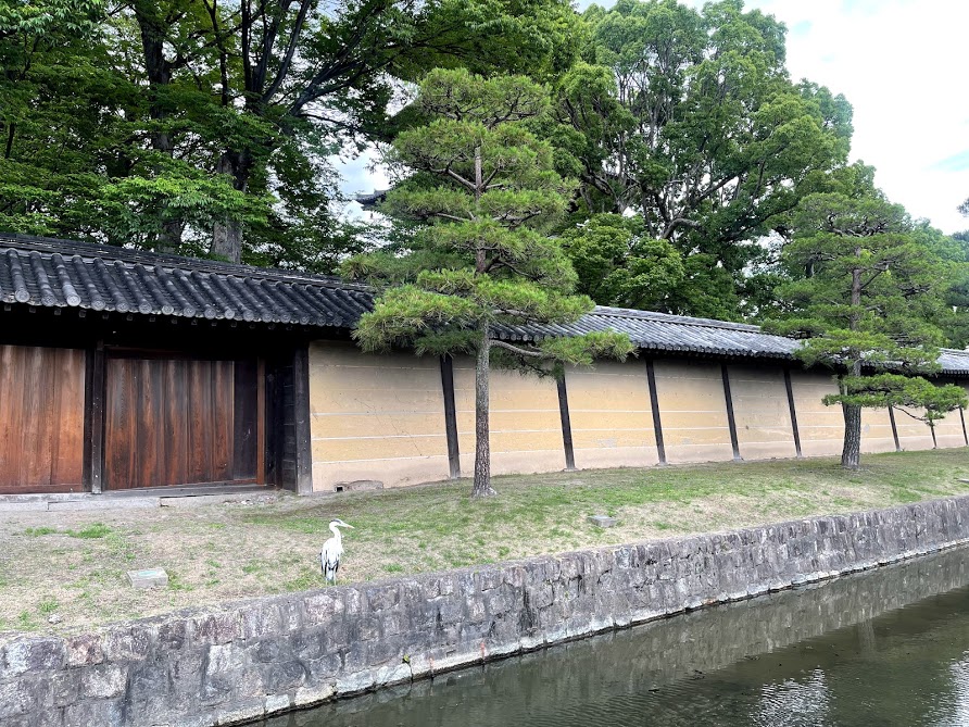f:id:saotrip:20210617220620j:plain