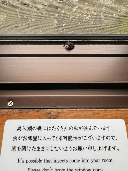 f:id:saotrip:20211101223319j:plain