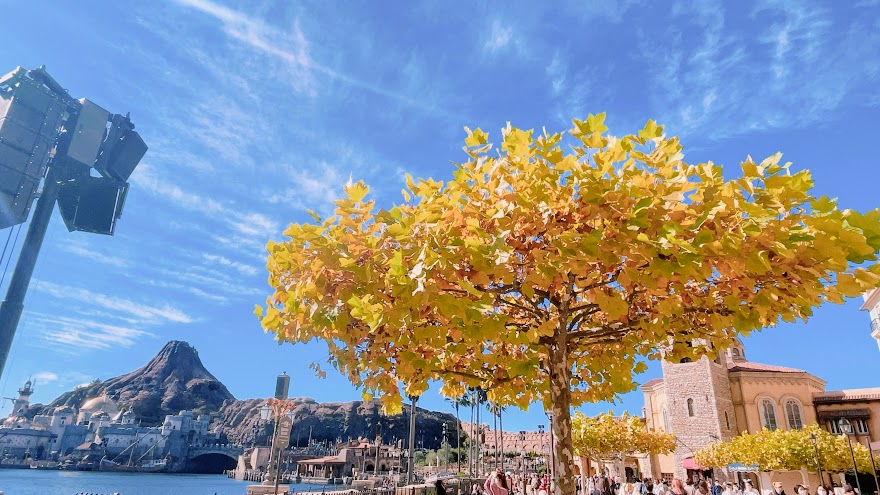 f:id:saotrip:20211205134206j:plain