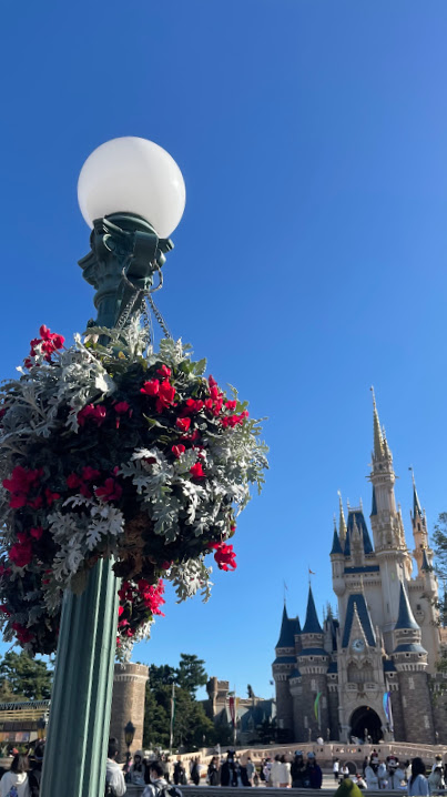 21年11月 東京ディズニー旅行4日目後半 エレクトリカルパレードはやっぱり最高 ぼちぼち旅行blog Sao散歩 21年11月 東京ディズニー旅行4日目後半 エレクトリカルパレードはやっぱり最高 ぼちぼち旅行blog Sao散歩