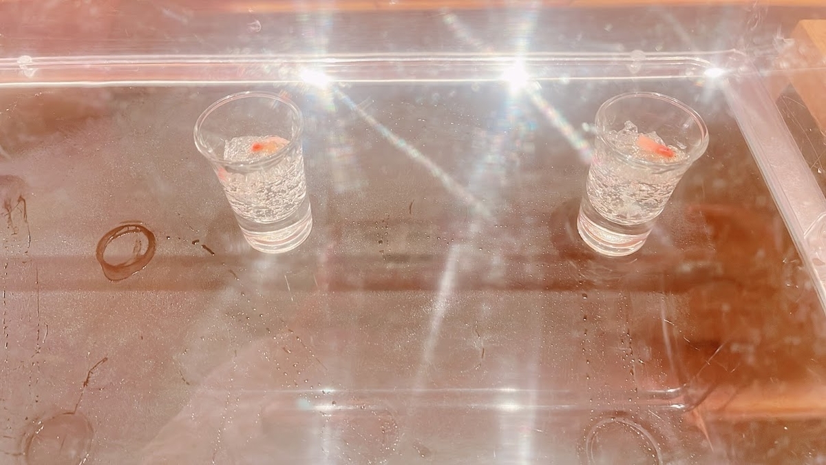 f:id:saotrip:20211226204803j:plain