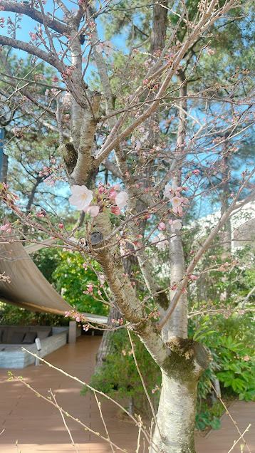 f:id:saotrip:20220409140741j:plain