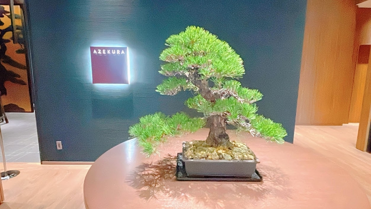 f:id:saotrip:20220412231049j:plain