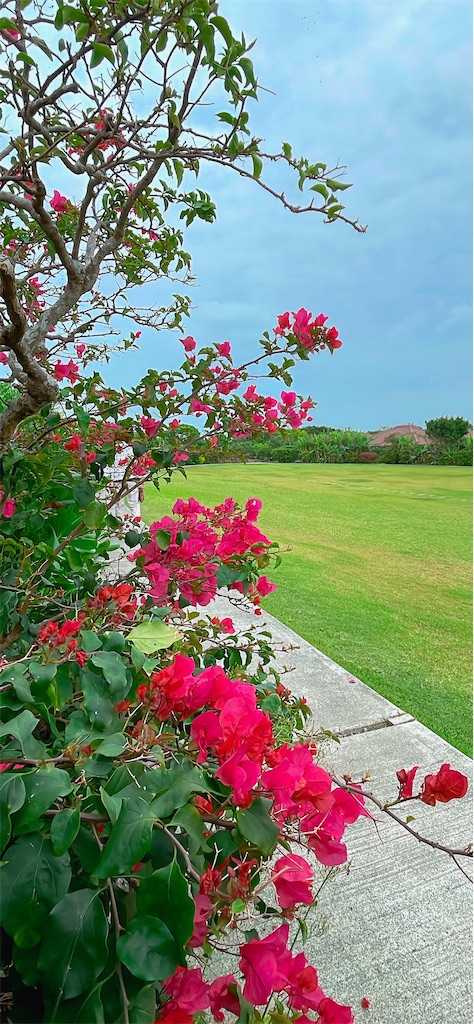 f:id:saotrip:20230519105501j:image