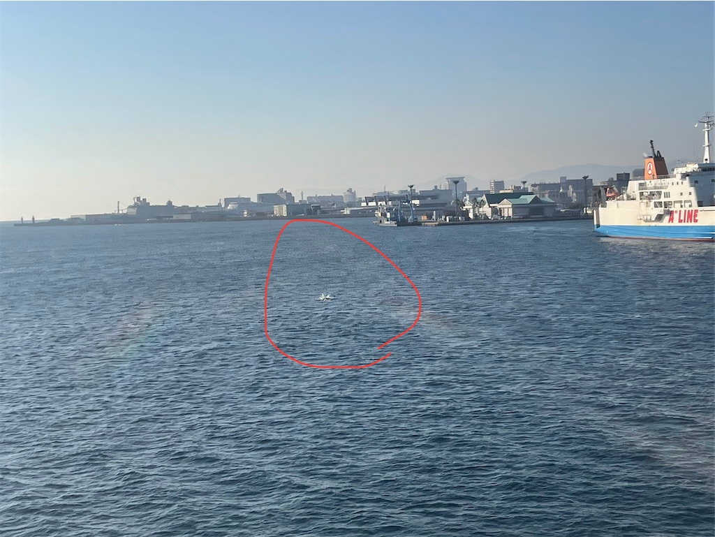 f:id:saotrip:20231230163728j:image