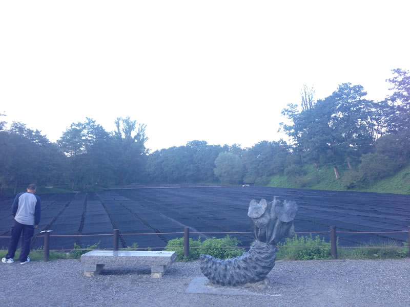 イメージ 4