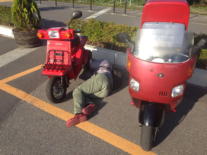 イメージ 8