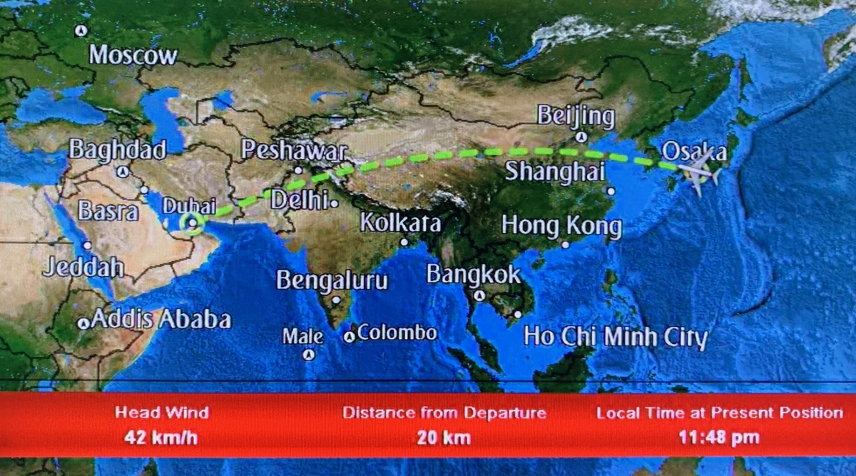 f:id:sapaia:20190609204515j:plain