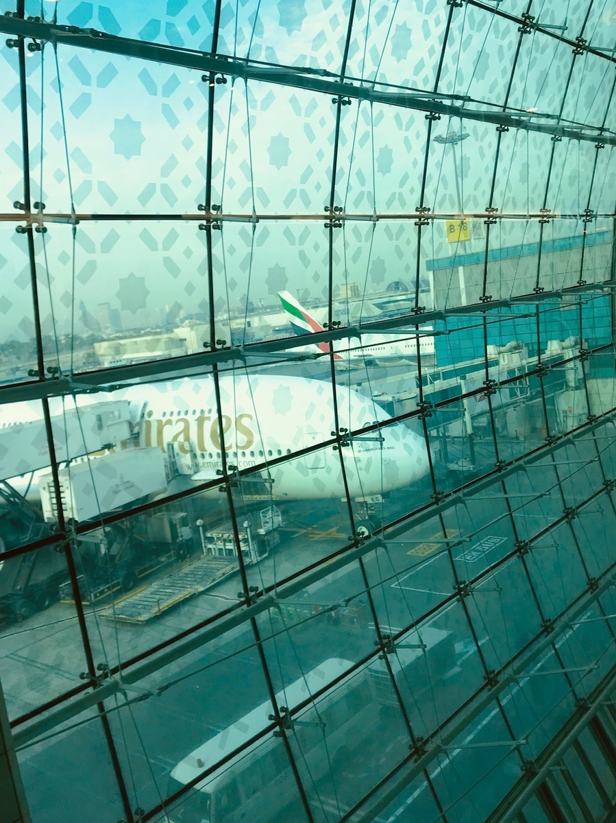 f:id:sapaia:20190609213849j:plain