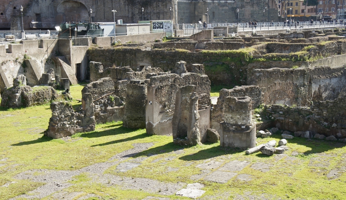 f:id:sapaia:20190610085449j:plain