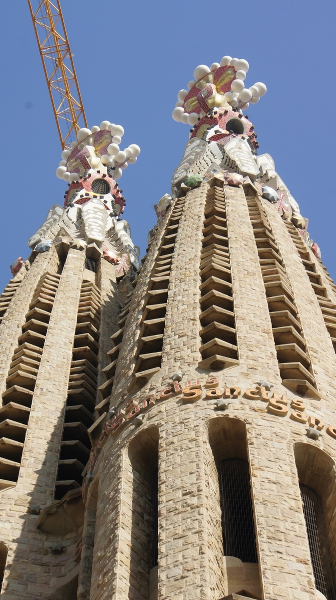 f:id:sapaia:20190614111420j:plain f:id:sapaia:20190614111420j:plain