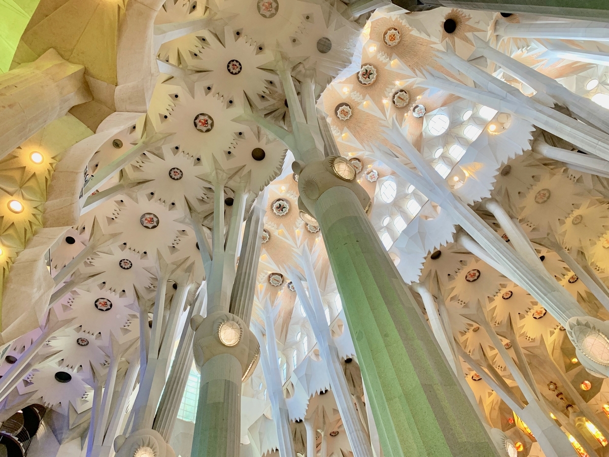 f:id:sapaia:20190614111454j:plain f:id:sapaia:20190614111454j:plain