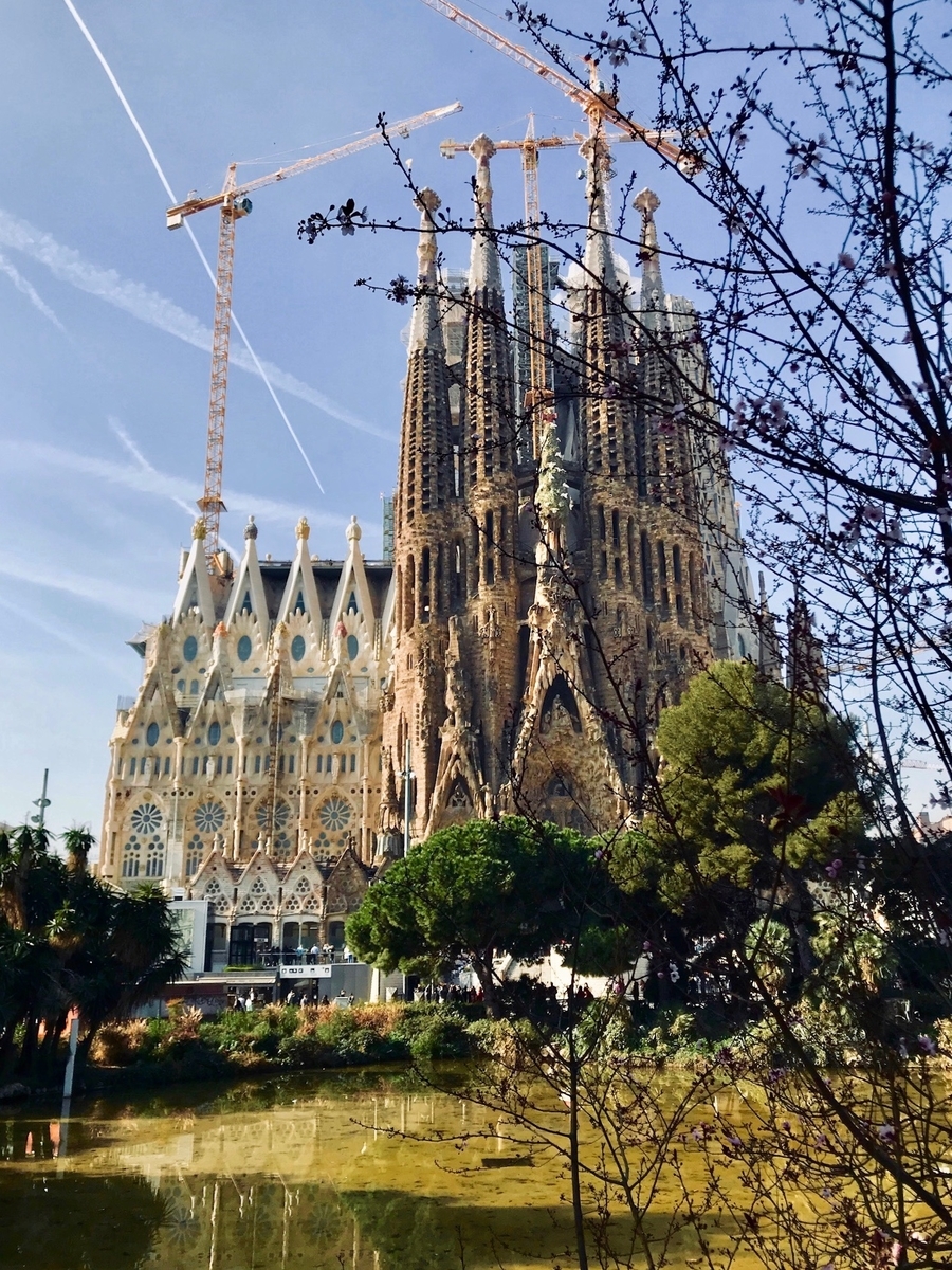 f:id:sapaia:20190614200450j:plain f:id:sapaia:20190614200450j:plain