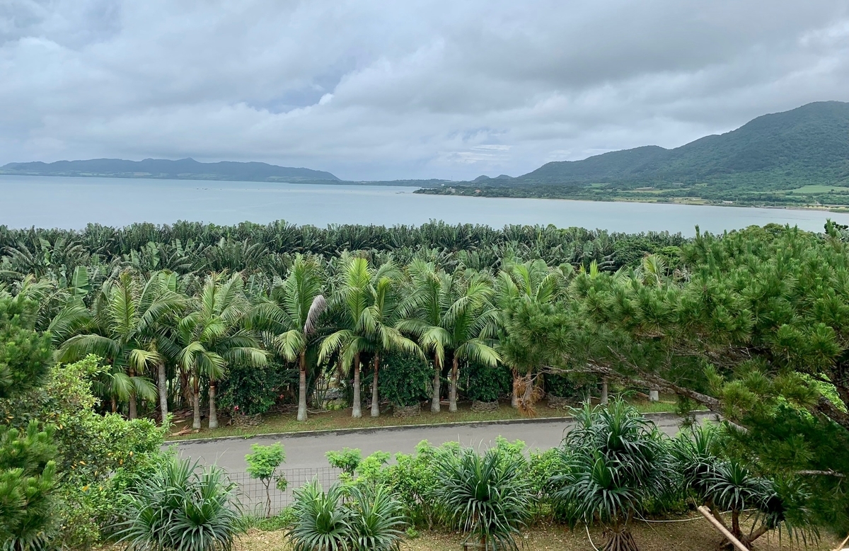 f:id:sapaia:20190619125416j:plain