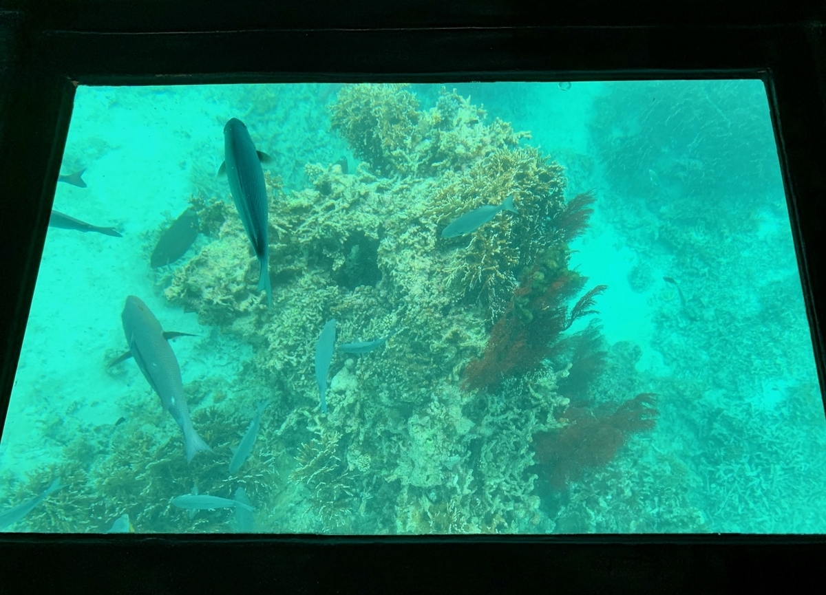 f:id:sapaia:20190619125425j:plain