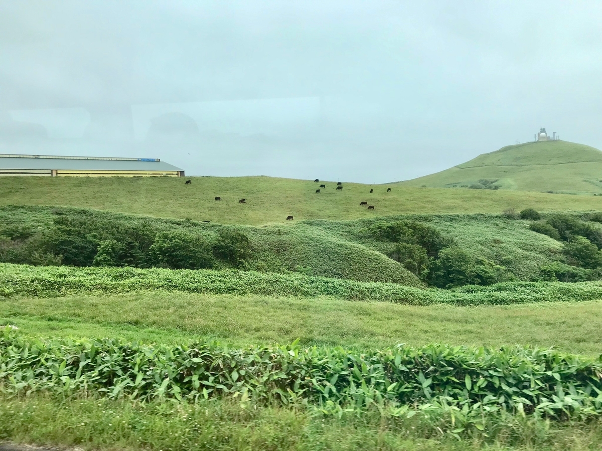 f:id:sapaia:20190805143133j:plain