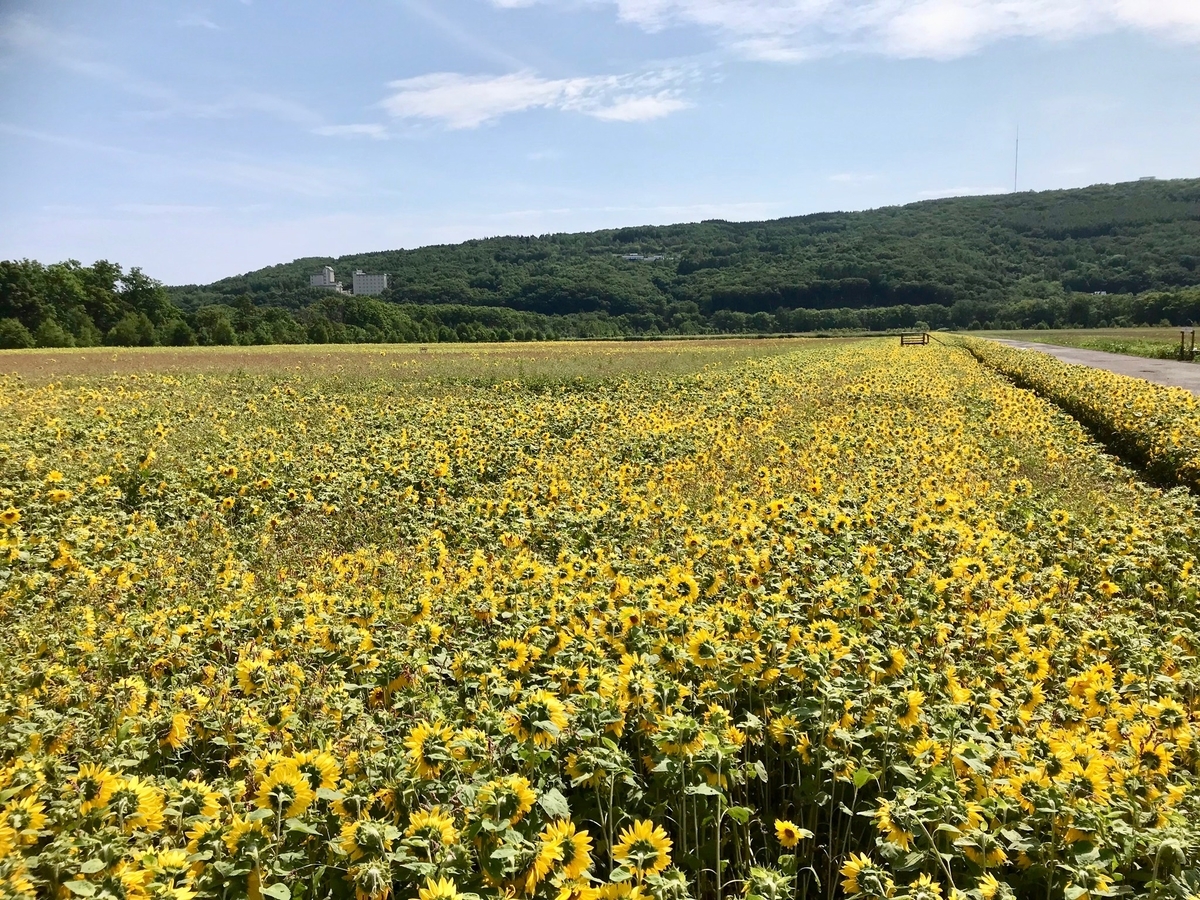 f:id:sapaia:20190808162020j:plain f:id:sapaia:20190808162020j:plain