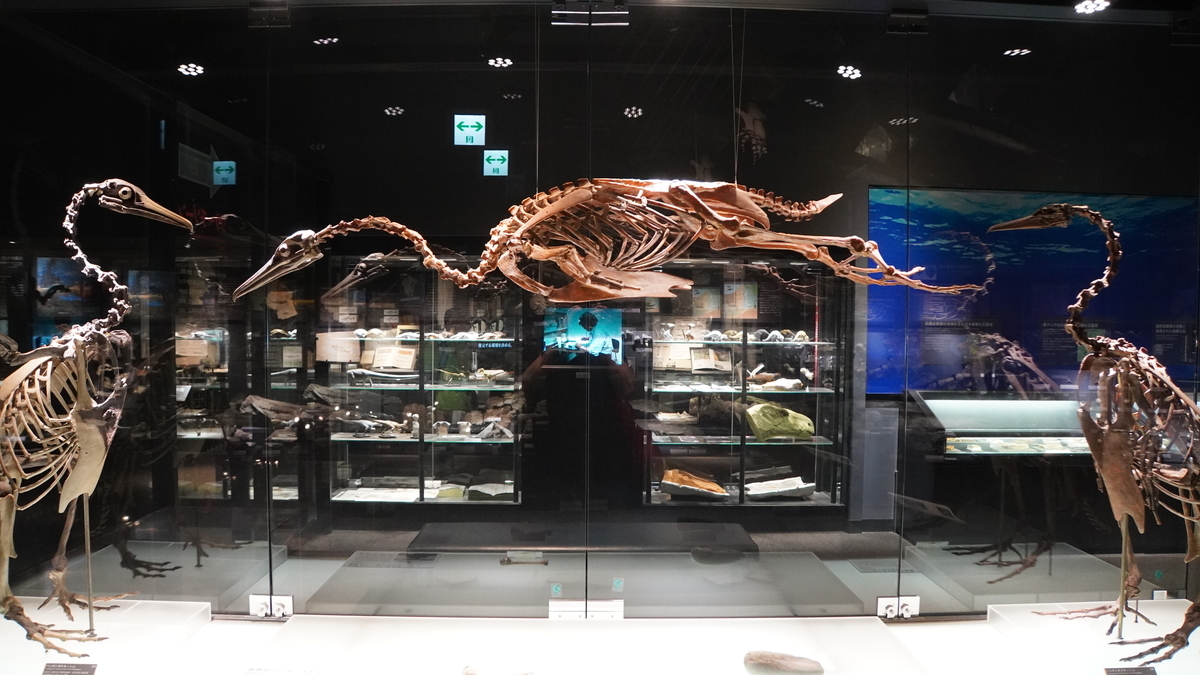 f:id:sapaia:20191007203039j:plain f:id:sapaia:20191007203039j:plain