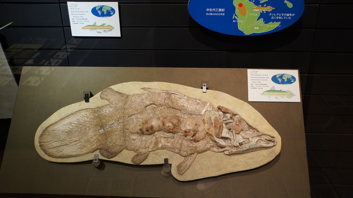 f:id:sapaia:20191007203112j:plain f:id:sapaia:20191007203112j:plain