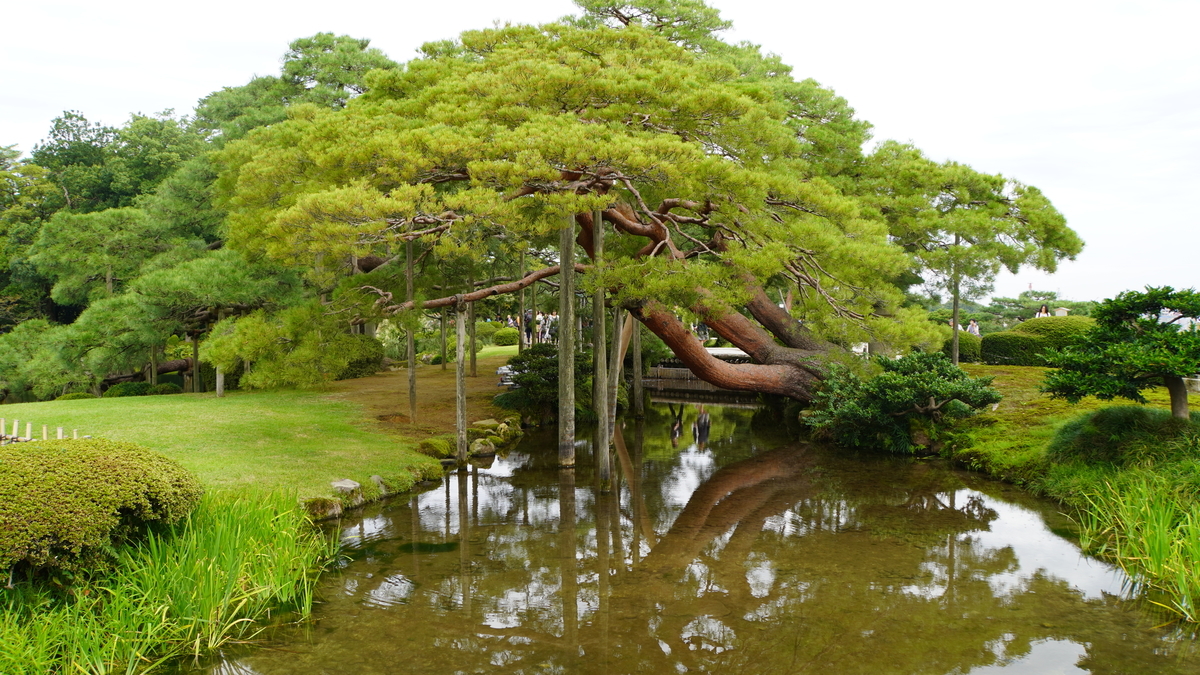 f:id:sapaia:20191009223018j:plain f:id:sapaia:20191009223018j:plain