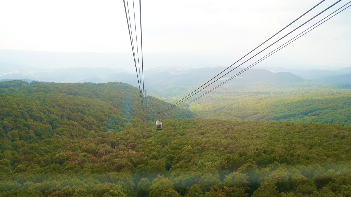 f:id:sapaia:20191014204546j:plain