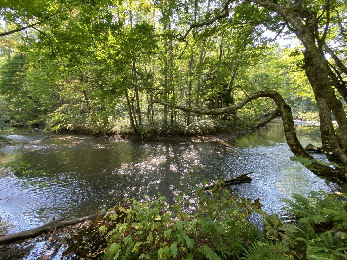 f:id:sapaia:20191014204711j:plain