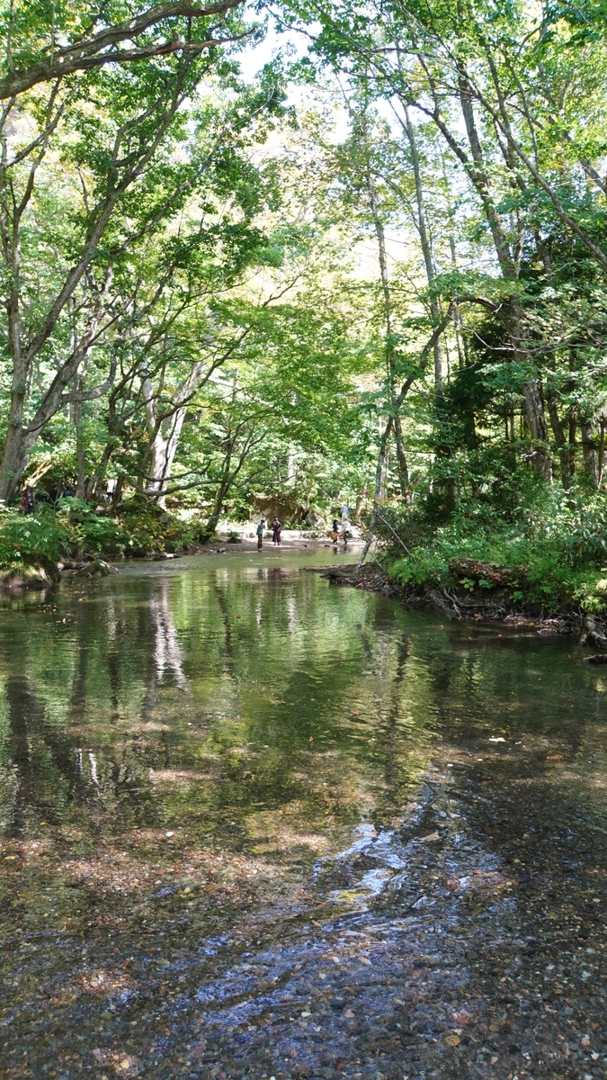 f:id:sapaia:20191014205346j:plain