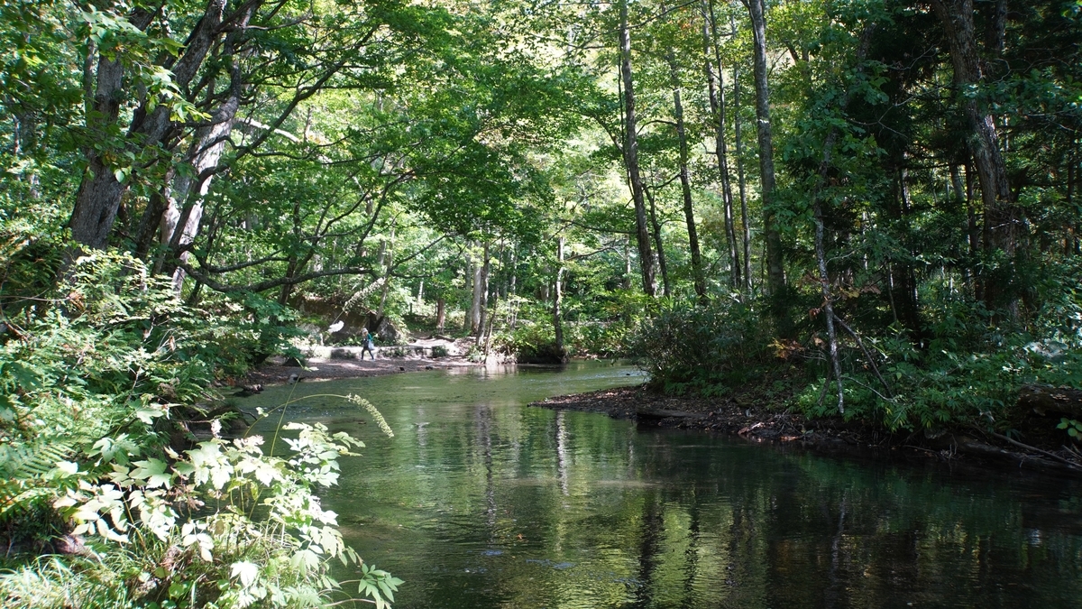 f:id:sapaia:20191014205400j:plain